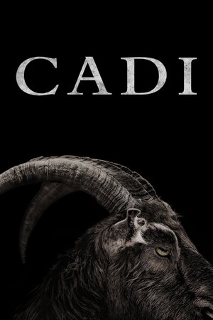 Cadı - The VVitch: A New-England Folktale ( The Witch )