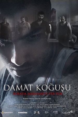 Damat Koğuşu