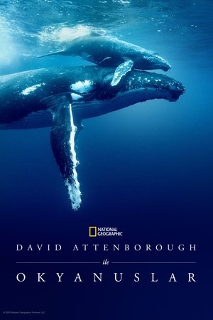 David Attenborough ile Okyanuslar - Ocean with David Attenborough