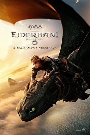 Ejderhanı Nasıl Eğitirsin - How to Train Your Dragon
