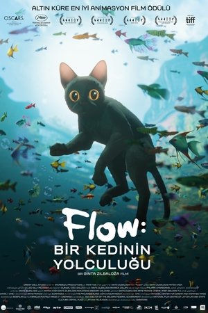 Flow: Bir Kedinin Yolculuğu - Straume