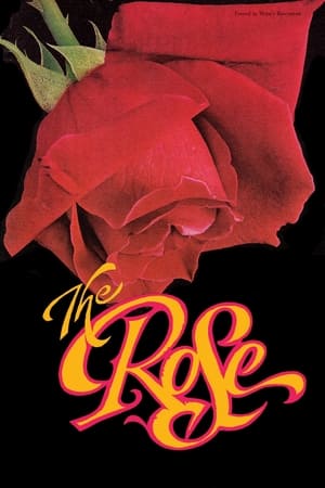 Gül - The Rose