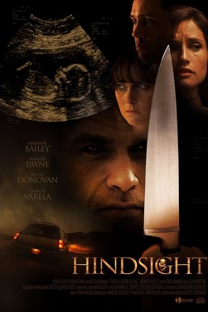 Geriye Dönüş - Hindsight