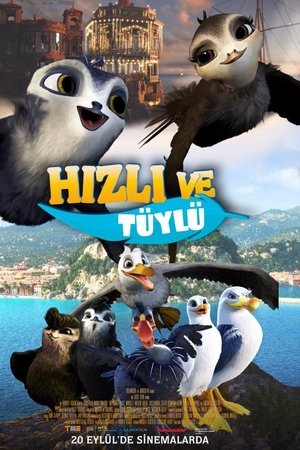 Hızlı ve Tüylü - Manou the Swift ( Swift )