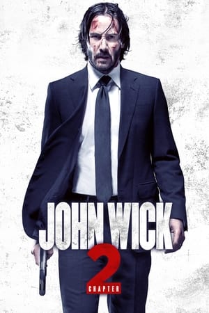 John Wick 2 - John Wick: Chapter 2 John Wick 2 - John Wick: Chapter 2