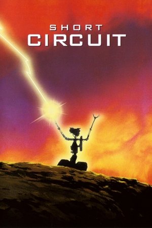 Kısa Devre - Short Circuit