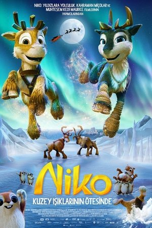 Niko: Kuzey Işıklarının Ötesinde - Niko: Beyond the Northern Lights