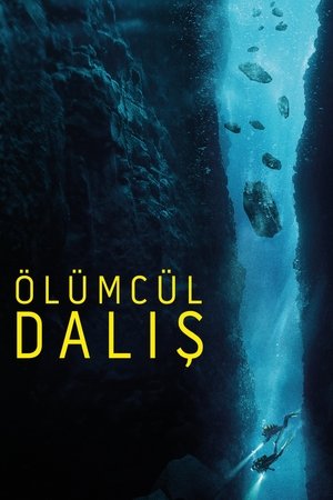 Ölümcül Dalış - The Dive