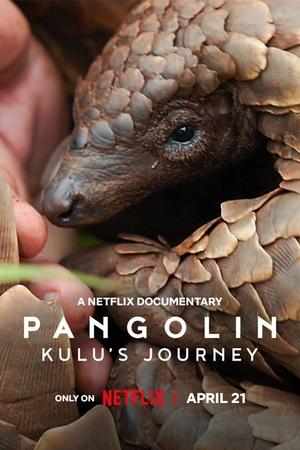 Pangolin: Kulu'nun Yolculuğu - Pangolin: Kulu's Journey